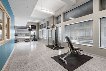 A gym with a row of treadmills and a row of exercise bikes.